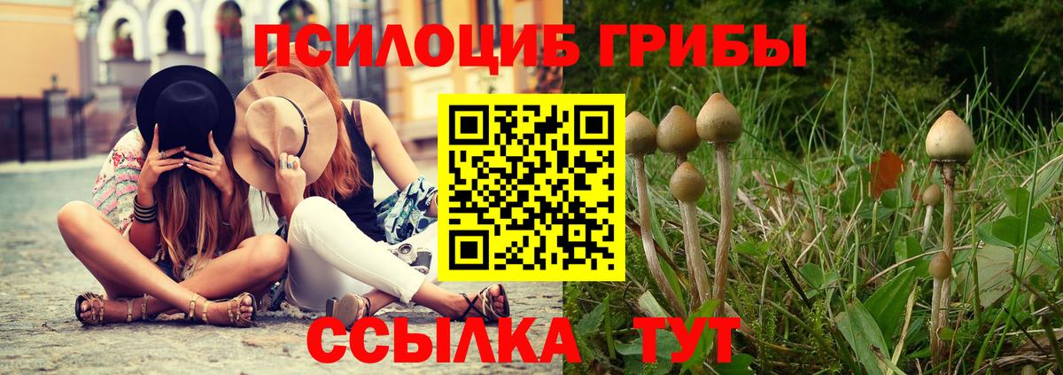 сколько стоит  Вход с VPN  Гай  Галлюциногенные грибы мухоморы 
